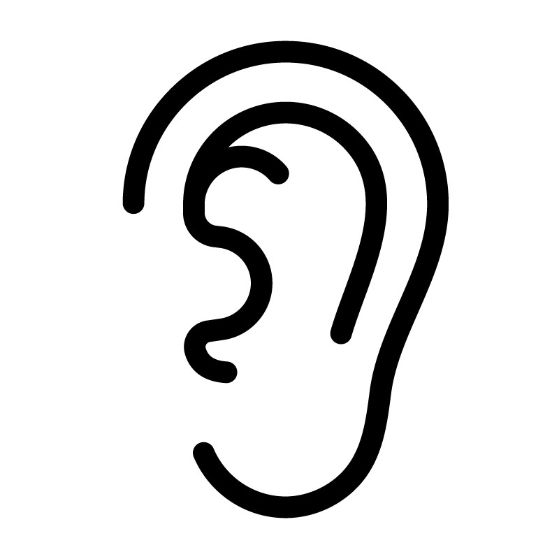 Illustration of an ear