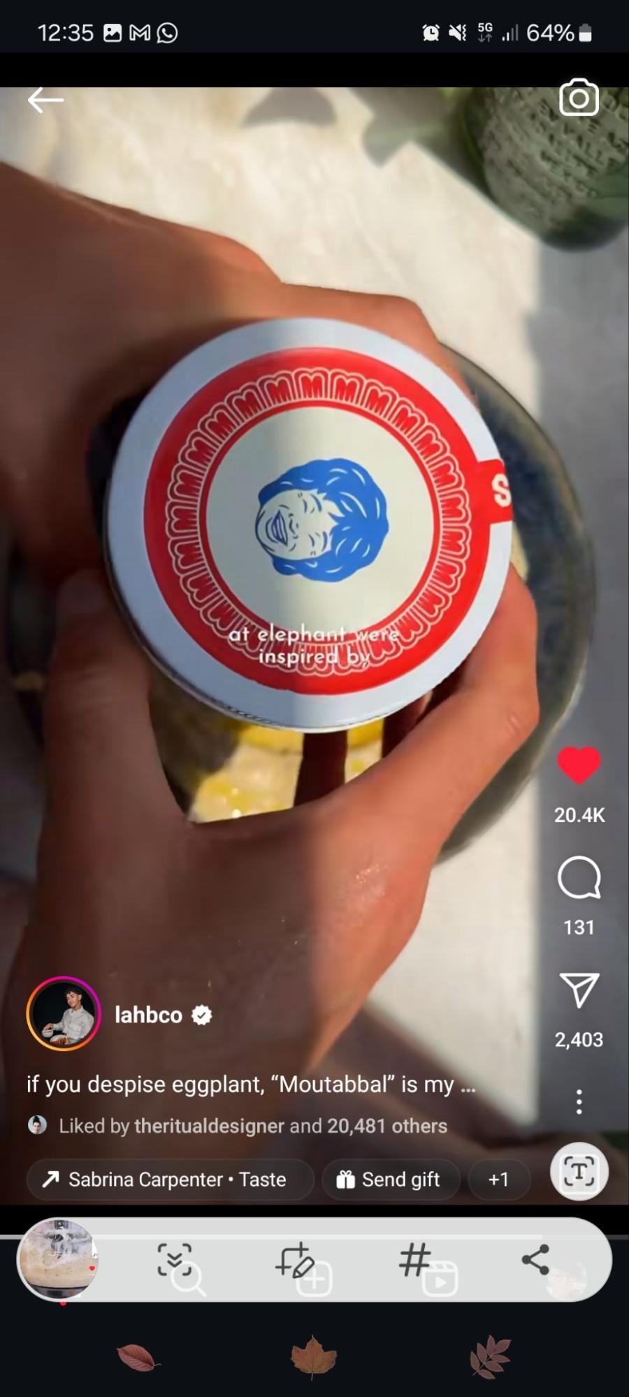 Instagram video on mobile with captions showing at the bottom in small white text