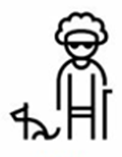 Icon portraying a person who is blind